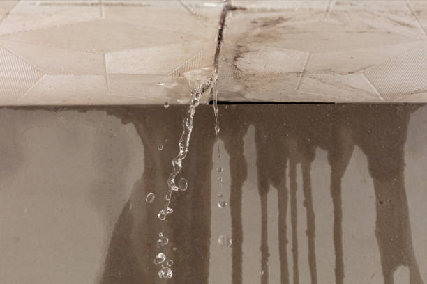 Professional Water Damage Repair technician working in Howell, UT